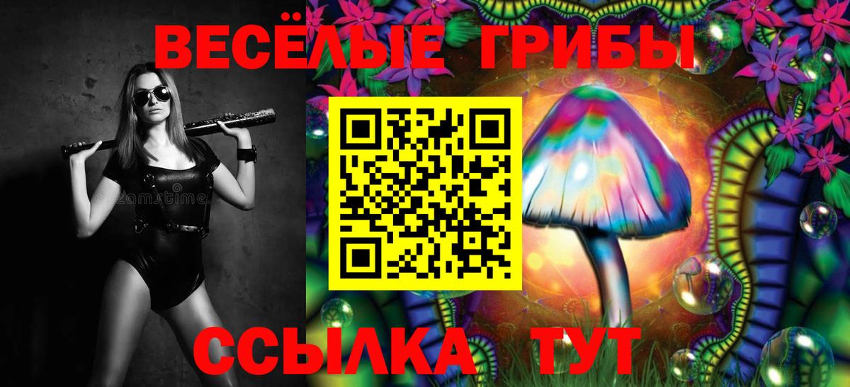 Галлюциногенные грибы Magic Shrooms Соликамск